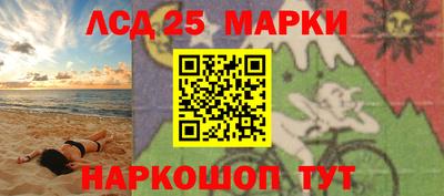 мяу мяу мука Аргун