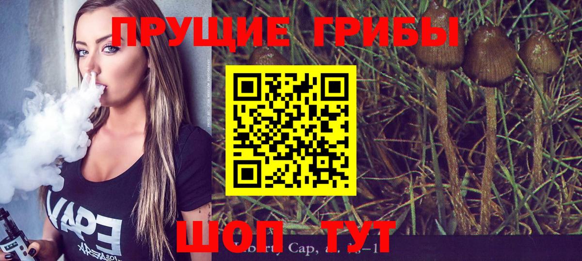 как найти   Псилоцибиновые грибы Psilocybine cubensis  Вход с VPN  Апрелевка  Псилоцибиновые грибы Psilocybine cubensis 