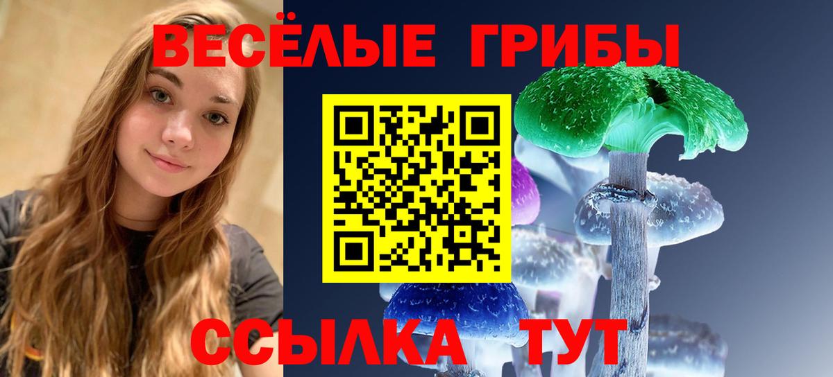 Галлюциногенные грибы мицелий Апрелевка